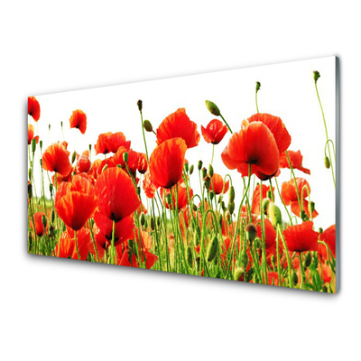 Glass Wall Art Poppies nature red green