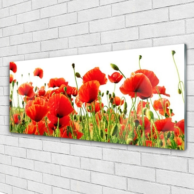 Glass Wall Art Poppies nature red green