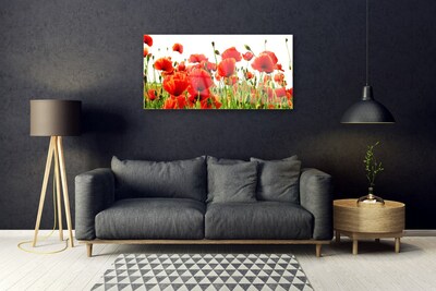 Glass Wall Art Poppies nature red green