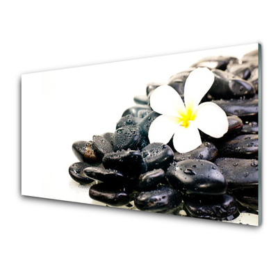 Glass Wall Art Flower stones art white black