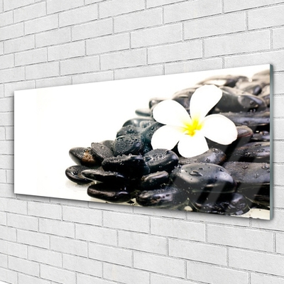 Glass Wall Art Flower stones art white black