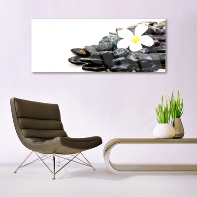 Glass Wall Art Flower stones art white black