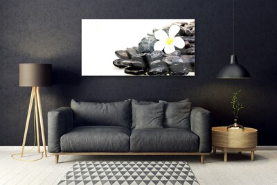 Glass Wall Art Flower stones art white black