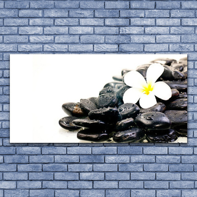 Glass Wall Art Flower stones art white black