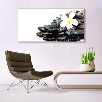 Glass Wall Art Flower stones art white black