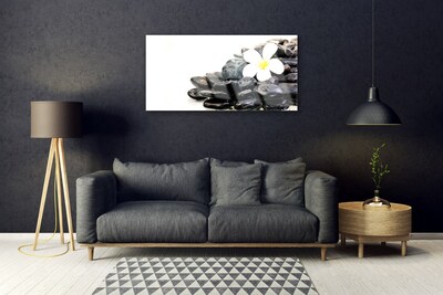 Glass Wall Art Flower stones art white black