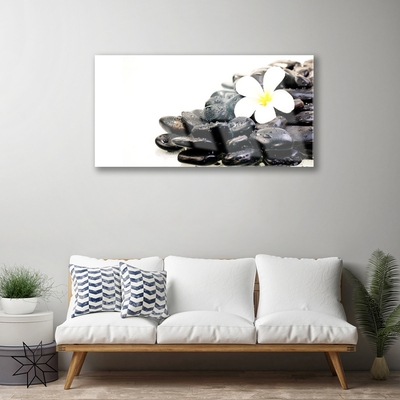 Glass Wall Art Flower stones art white black