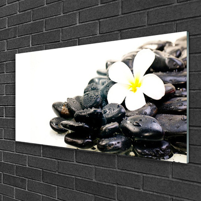 Glass Wall Art Flower stones art white black