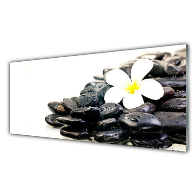 Glass Wall Art Flower stones art white black