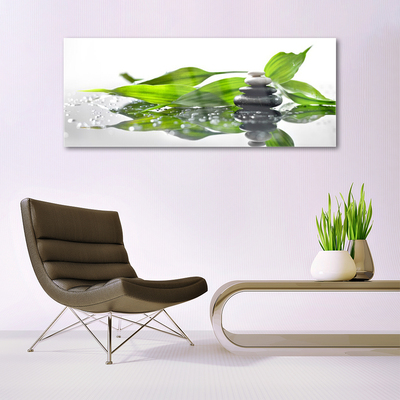 Glass Wall Art Stones leaves art black green