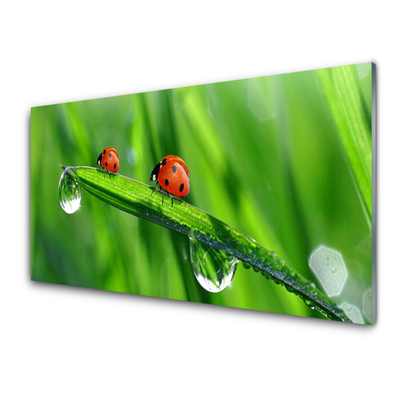 Glass Wall Art Ladybird beetle floral green red black