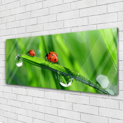 Glass Wall Art Ladybird beetle floral green red black