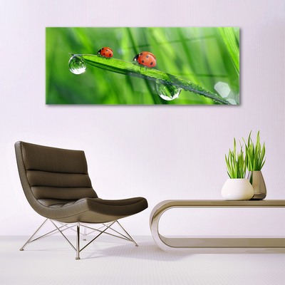 Glass Wall Art Ladybird beetle floral green red black