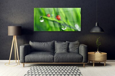 Glass Wall Art Ladybird beetle floral green red black