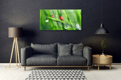 Glass Wall Art Ladybird beetle floral green red black