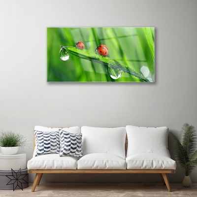 Glass Wall Art Ladybird beetle floral green red black