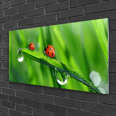 Glass Wall Art Ladybird beetle floral green red black