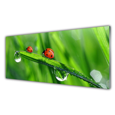 Glass Wall Art Ladybird beetle floral green red black