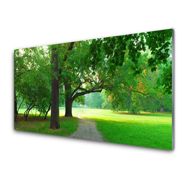 Glass Wall Art Footpath trees nature brown green