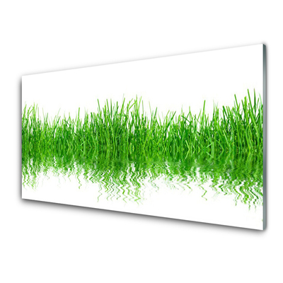 Glass Wall Art Grass nature green