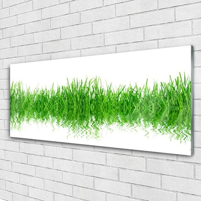 Glass Wall Art Grass nature green