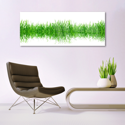 Glass Wall Art Grass nature green