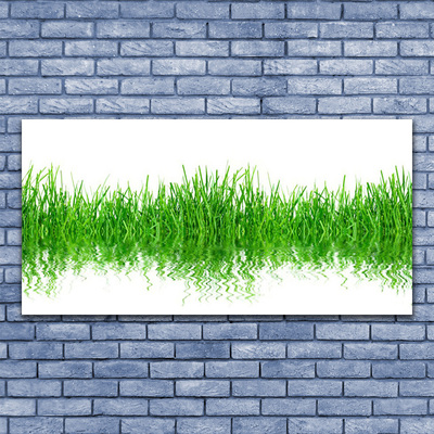 Glass Wall Art Grass nature green