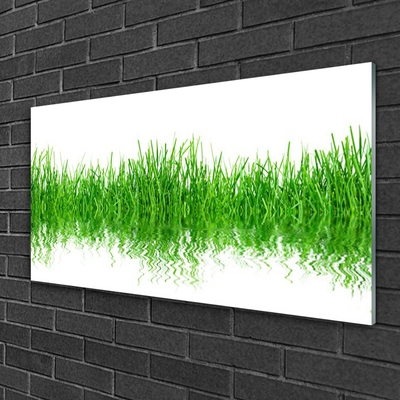 Glass Wall Art Grass nature green