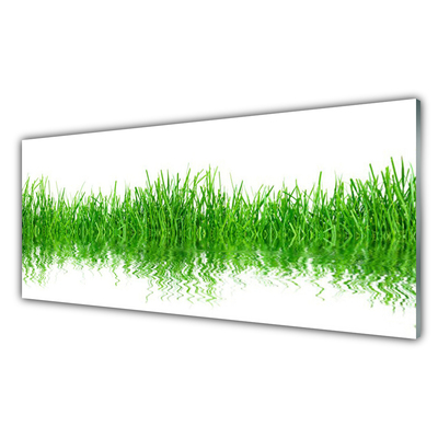 Glass Wall Art Grass nature green