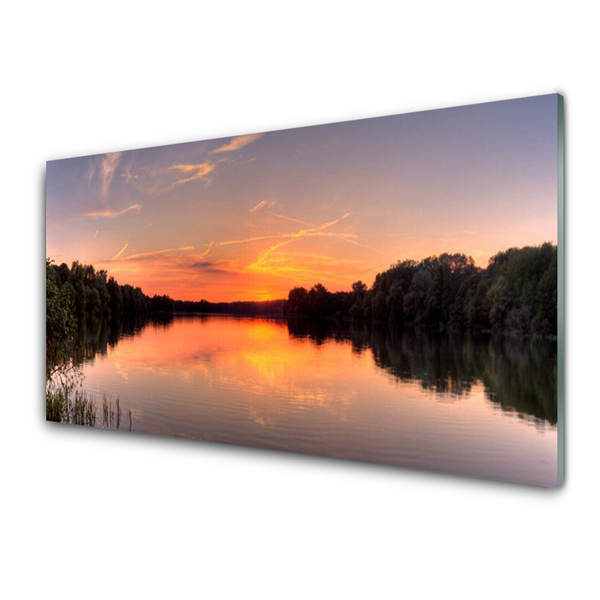 Glass Wall Art Lake forest landscape yellow greengrey