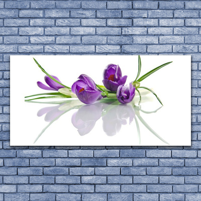 Glass Wall Art Flowers floral pink green