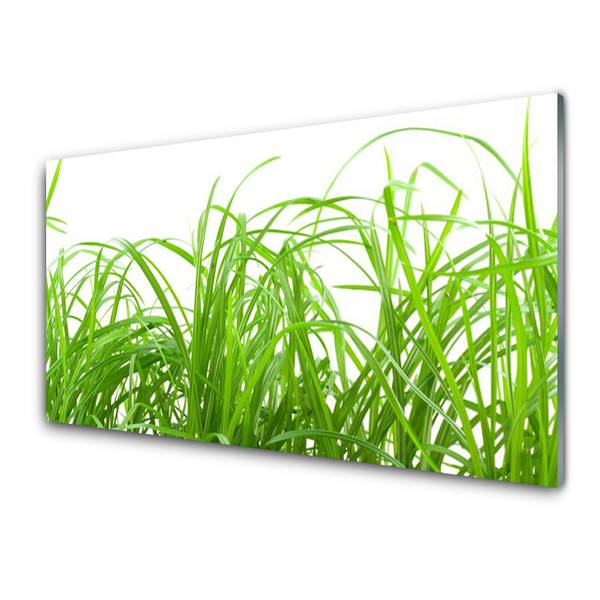 Glass Wall Art Grass nature green