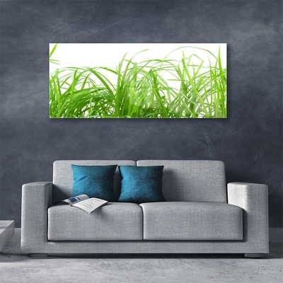 Glass Wall Art Grass nature green