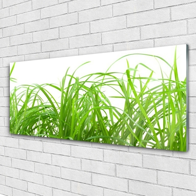 Glass Wall Art Grass nature green