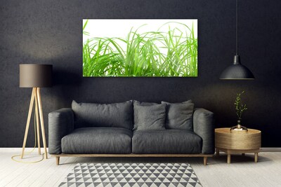 Glass Wall Art Grass nature green