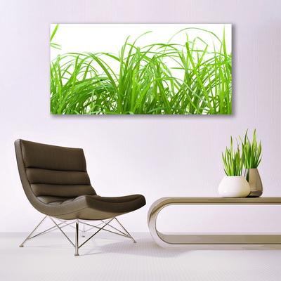 Glass Wall Art Grass nature green