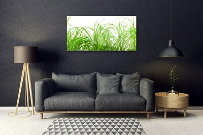 Glass Wall Art Grass nature green