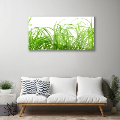 Glass Wall Art Grass nature green