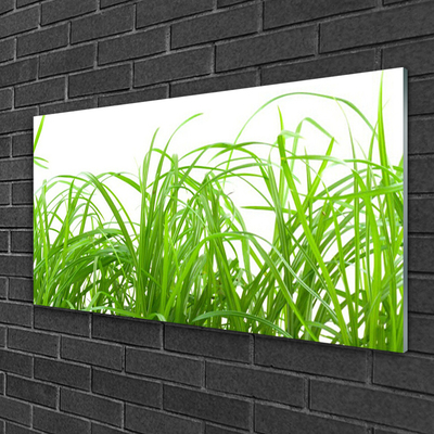 Glass Wall Art Grass nature green