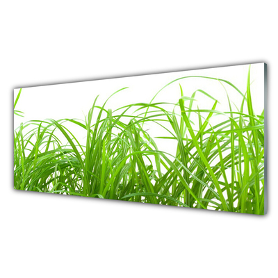 Glass Wall Art Grass nature green