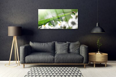 Glass Wall Art Grass dew drops nature green