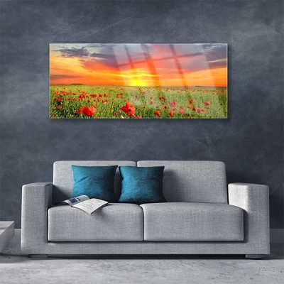 Glass Wall Art Poppies sun nature red green yellow grey