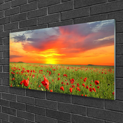 Glass Wall Art Poppies sun nature red green yellow grey