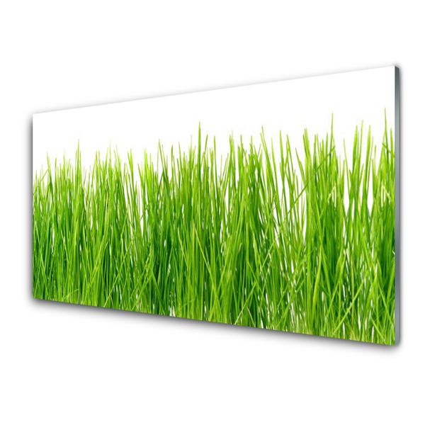 Glass Wall Art Grass nature green