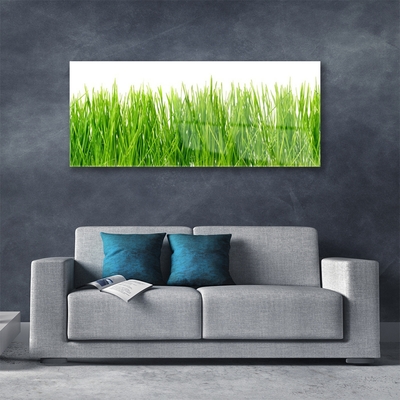 Glass Wall Art Grass nature green