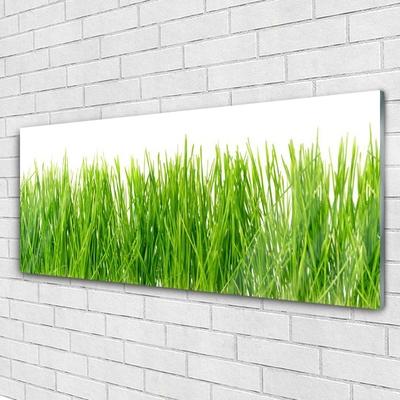 Glass Wall Art Grass nature green