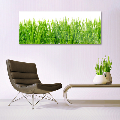 Glass Wall Art Grass nature green