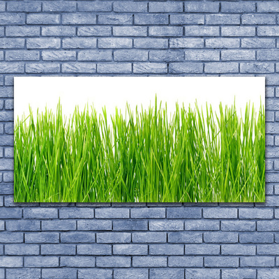 Glass Wall Art Grass nature green