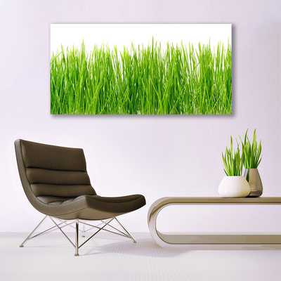 Glass Wall Art Grass nature green