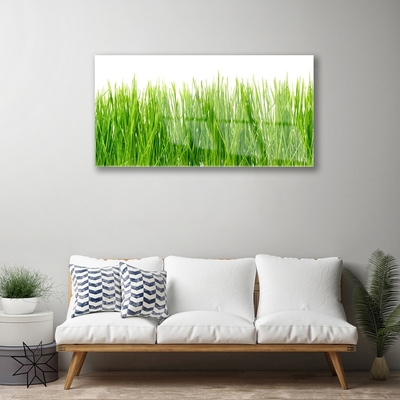 Glass Wall Art Grass nature green